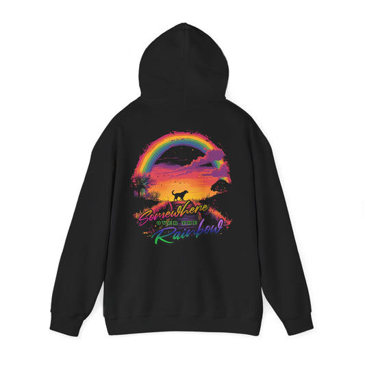Somewhere over the rainbow - Unisex Heavy Blend™ Hoodie Sweatshirt