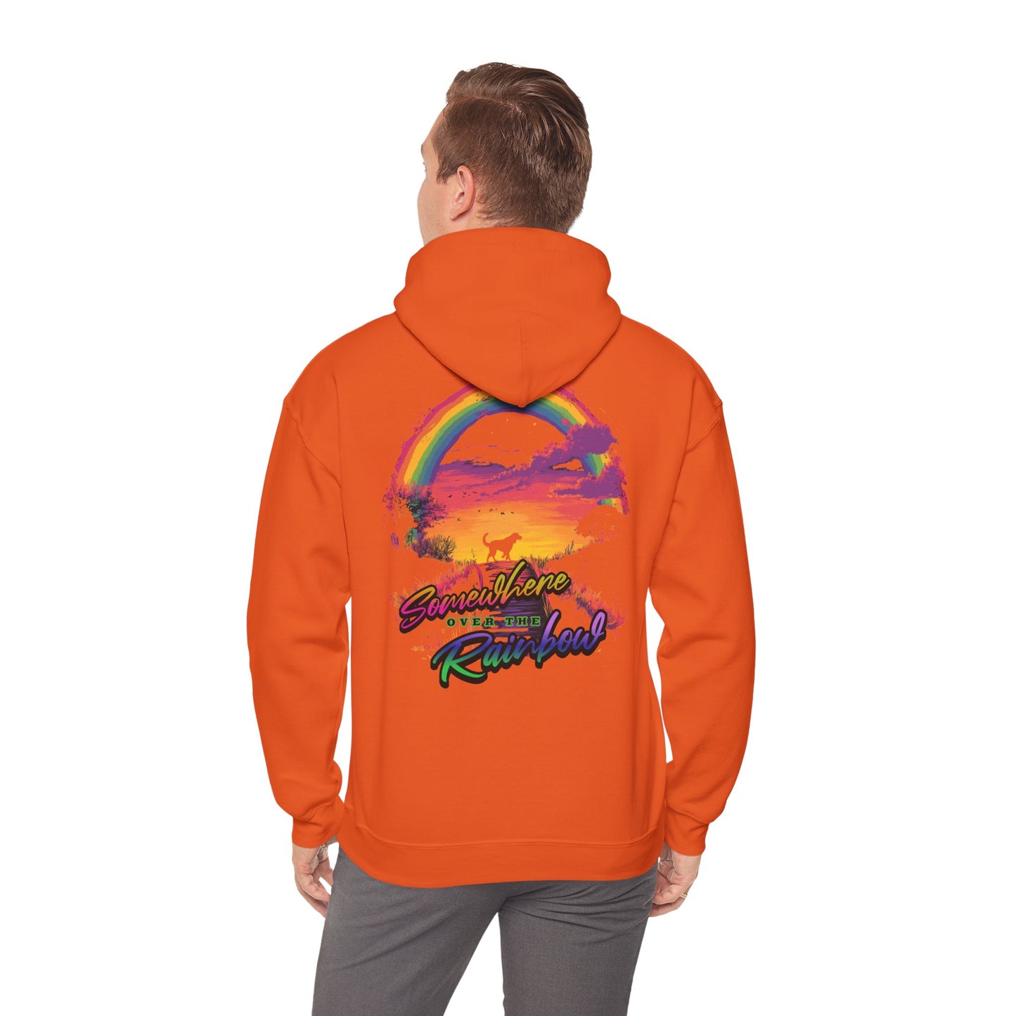 Somewhere over the rainbow - Unisex Heavy Blend™ Hoodie Sweatshirt