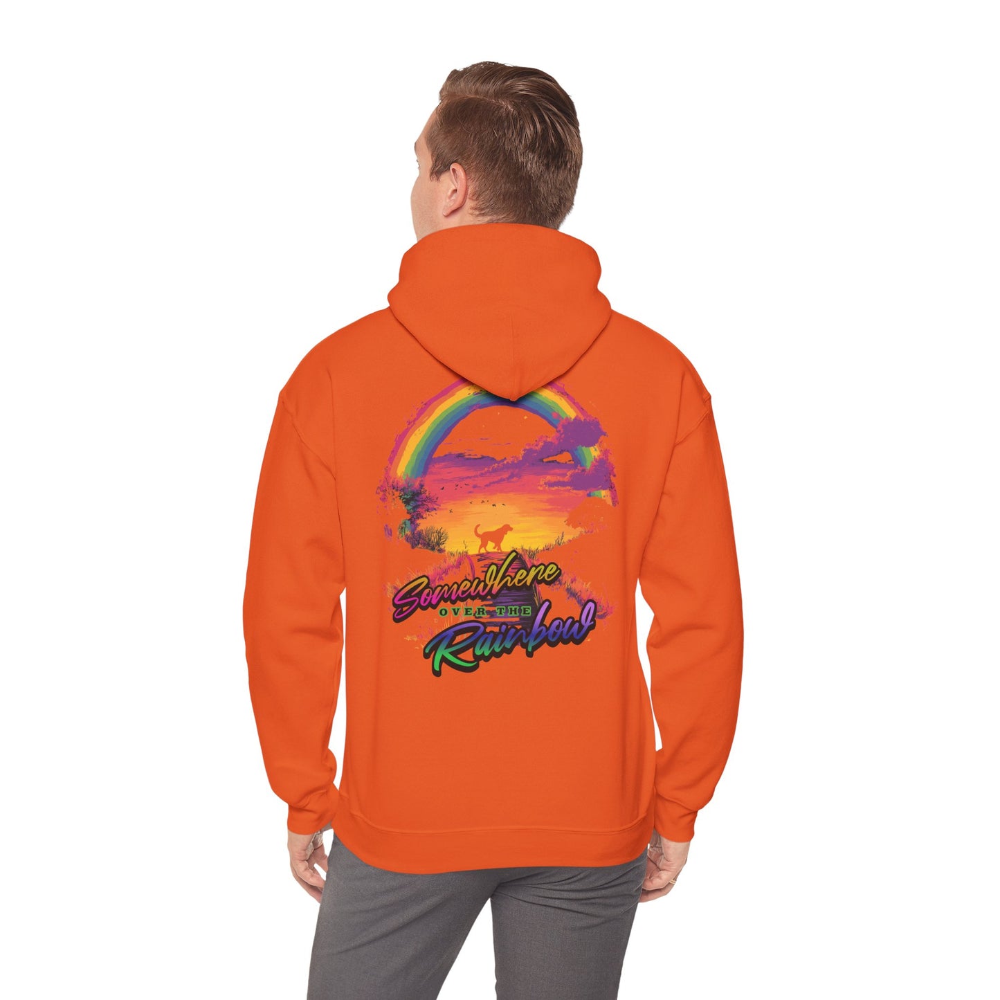 Somewhere over the rainbow - Unisex Heavy Blend™ Hoodie Sweatshirt